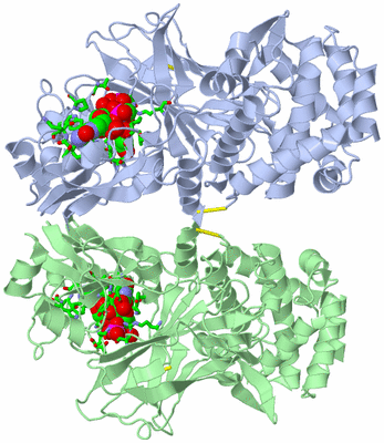 Image Asym./Biol. Unit - sites