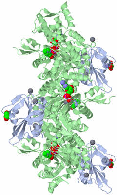 Image Biological Unit 1