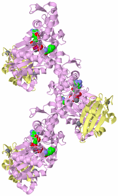 Image Biological Unit 2