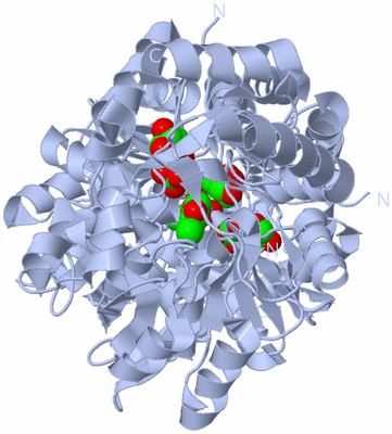 Image Biological Unit 2