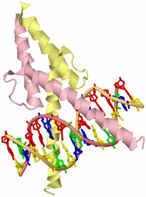 Image Biological Unit 2