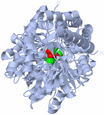 Image Biological Unit 2