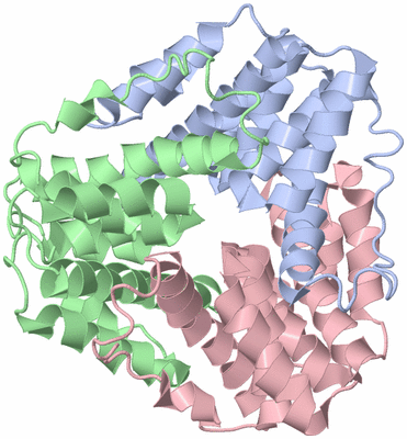 Image Asym./Biol. Unit