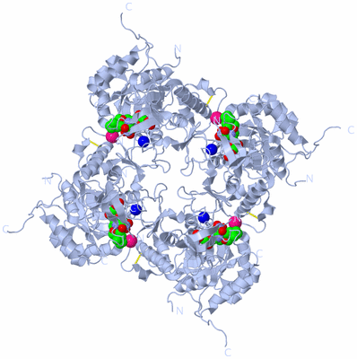 Image Biological Unit 1