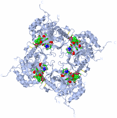 Image Biol. Unit 1 - sites