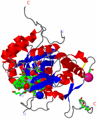 Image Asym. Unit - sites