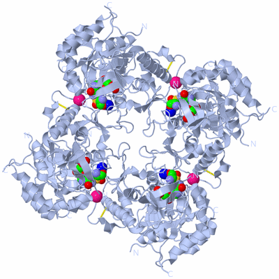 Image Biological Unit 1