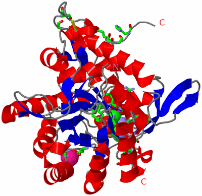 Image Asym. Unit - sites