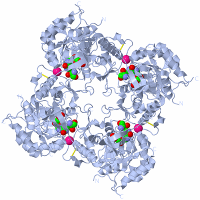 Image Biological Unit 1