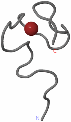 Image NMR Structure - model 1