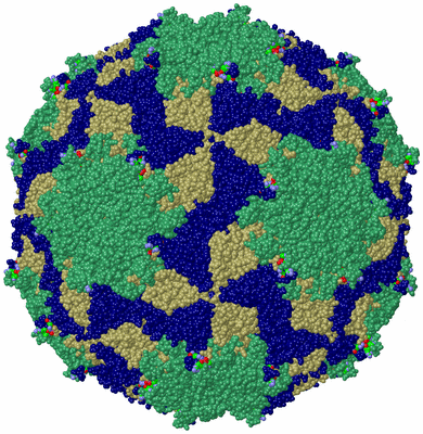 Image Biol. Unit 1 - sites