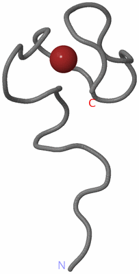 Image NMR Structure - model 1