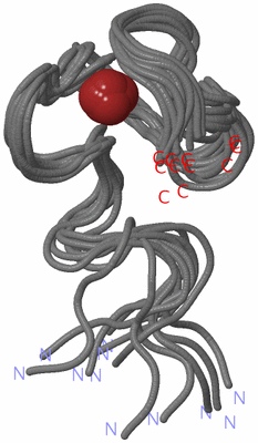 Image NMR Structure - all models