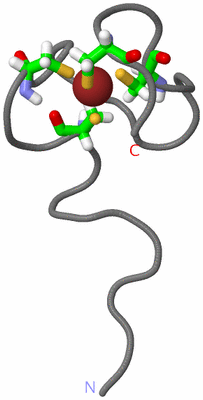 Image NMR Structure - model 1, sites