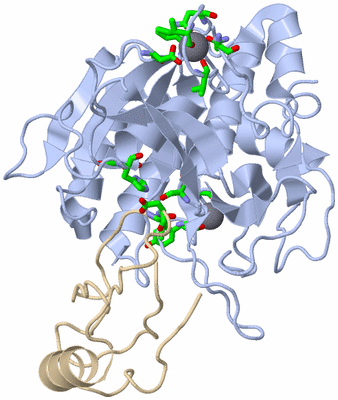 Image Asym./Biol. Unit - sites