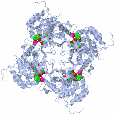 Image Biological Unit 1