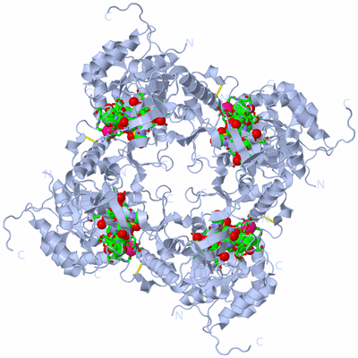 Image Biol. Unit 1 - sites