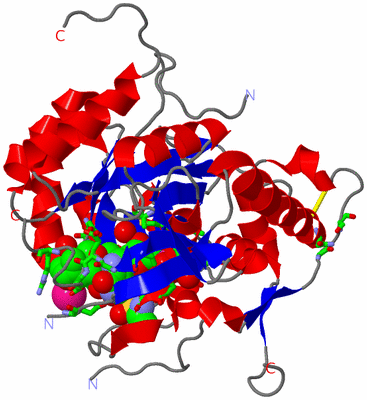 Image Asym. Unit - sites