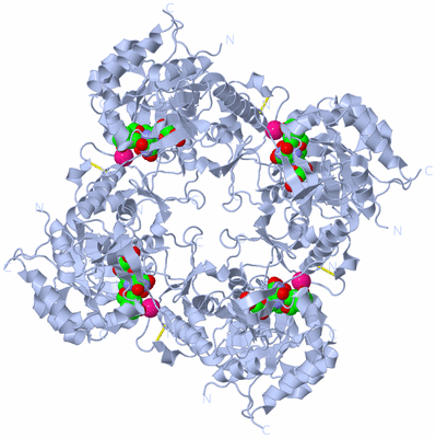 Image Biological Unit 1