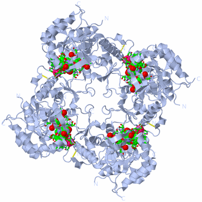 Image Biol. Unit 1 - sites