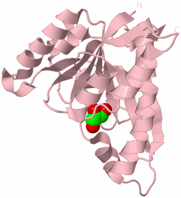 Image Biological Unit 3