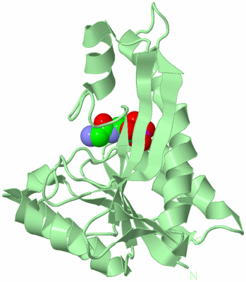 Image Biological Unit 2