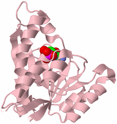 Image Biological Unit 3