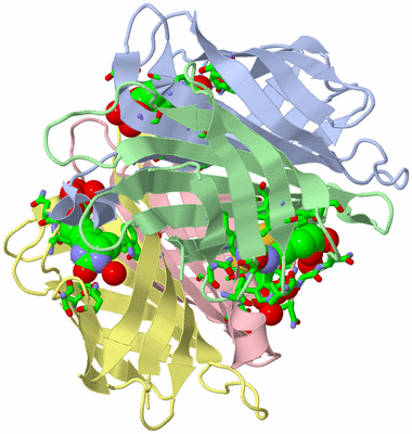 Image Asym./Biol. Unit - sites