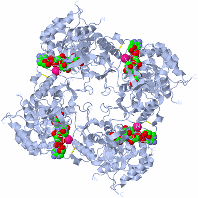 Image Biological Unit 1