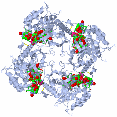 Image Biol. Unit 1 - sites