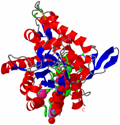 Image Asym. Unit - sites