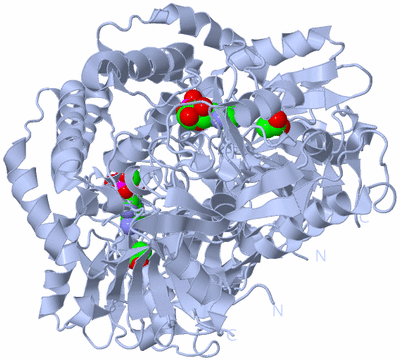 Image Biological Unit 1