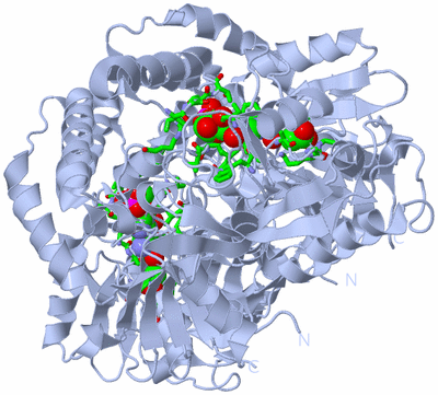 Image Biol. Unit 1 - sites