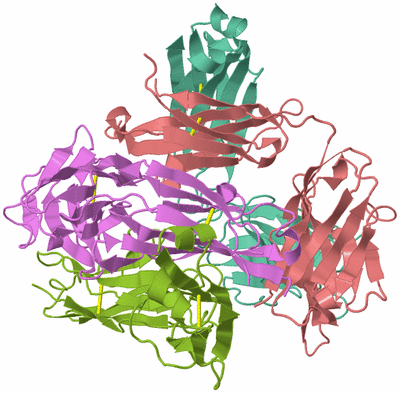 Image Biological Unit 1