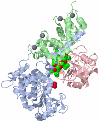 Image Asym./Biol. Unit