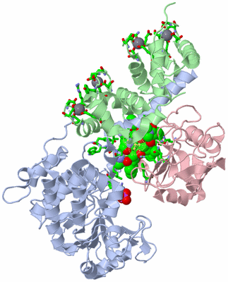 Image Asym./Biol. Unit - sites