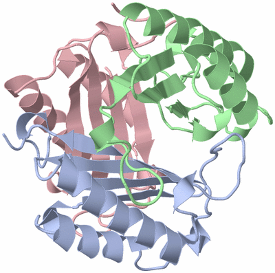 Image Asym./Biol. Unit