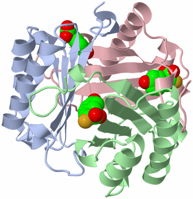 Image Asym./Biol. Unit