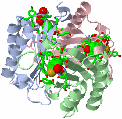 Image Asym./Biol. Unit - sites