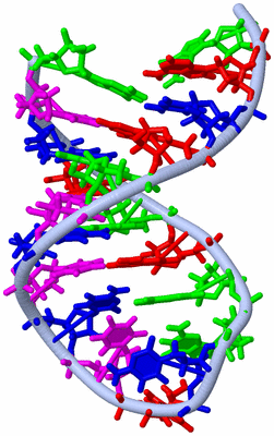 Image NMR Structure - model 1