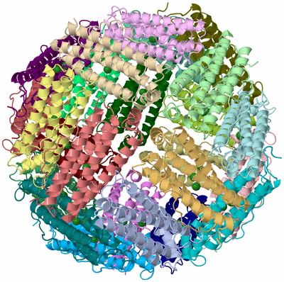 Image Asym./Biol. Unit