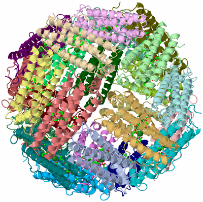 Image Asym./Biol. Unit - sites