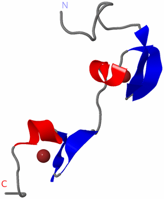 Image NMR Structure - model 1