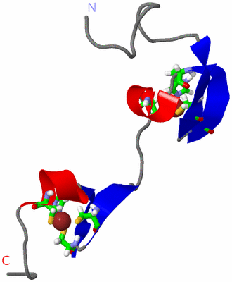 Image NMR Structure - model 1, sites