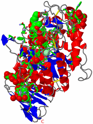 Image Asym./Biol. Unit - sites