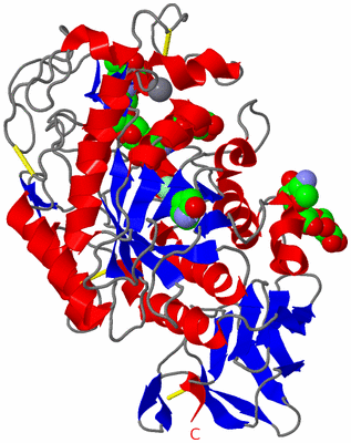 Image Asym./Biol. Unit