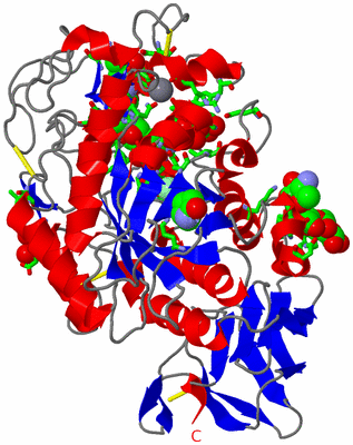 Image Asym./Biol. Unit - sites