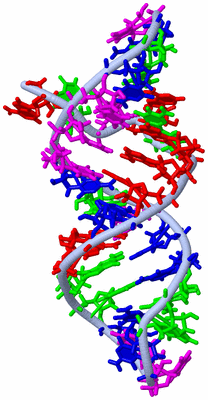 Image NMR Structure - model 1