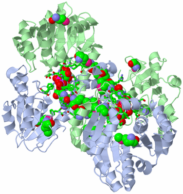 Image Biol. Unit 1 - sites