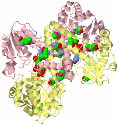 Image Biological Unit 2